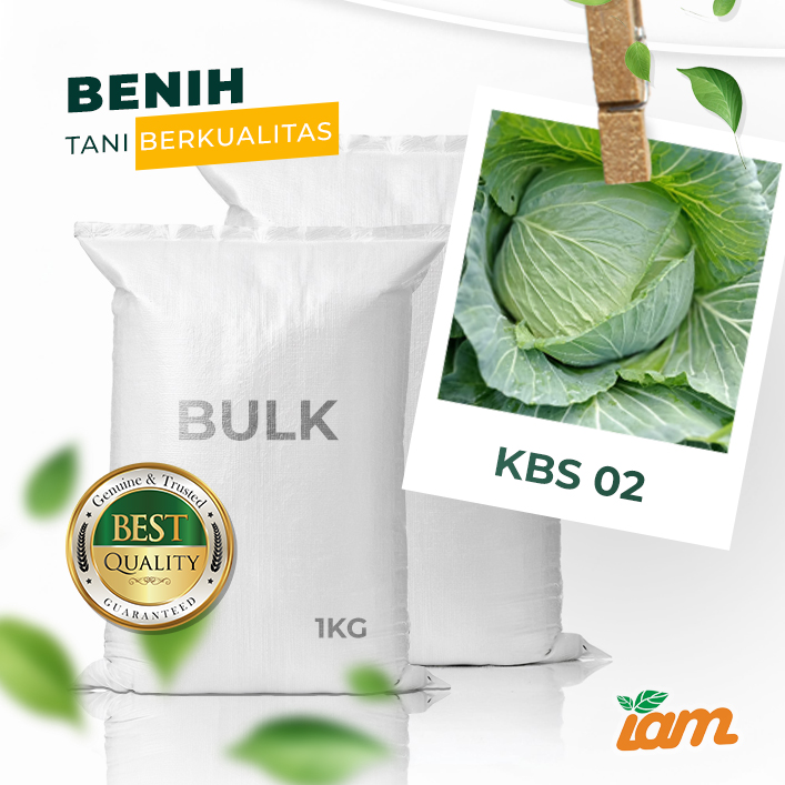 BULK 1kg – kubis F1 (KBS 02) - PT. Indoseed Agri Makmur