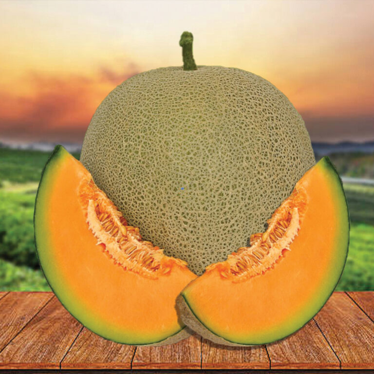 BULK 1kg – melon F1 (ME MR 70) - PT. Indoseed Agri Makmur