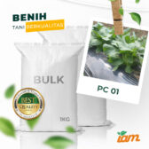 BULK 1kg – pakcoy F1 (PC 01) - PT. Indoseed Agri Makmur