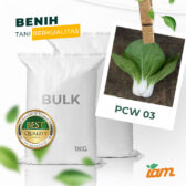 BULK 1kg – pakcoy white F1 (PCW 03) - PT. Indoseed Agri Makmur