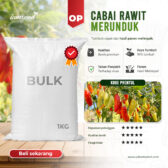 BULK 1kg – cabai OP (PRENTUL PANJANG) - PT. Indoseed Agri Makmur