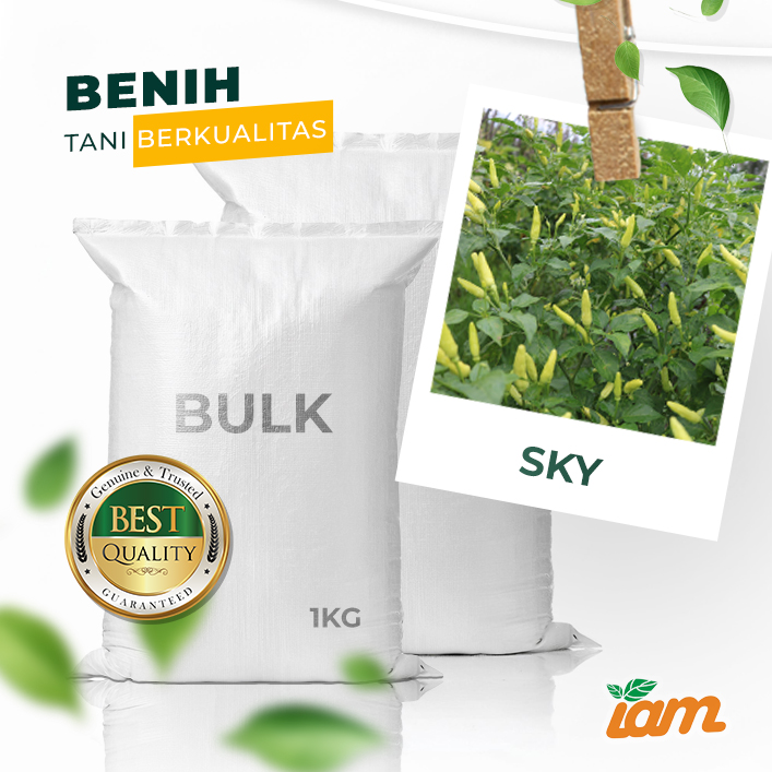 BULK 1kg – cabai OP (SKY) - PT. Indoseed Agri Makmur