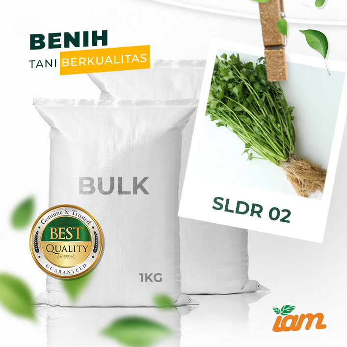 BULK 1kg – seledri F1 (SLDR 02) - PT. Indoseed Agri Makmur