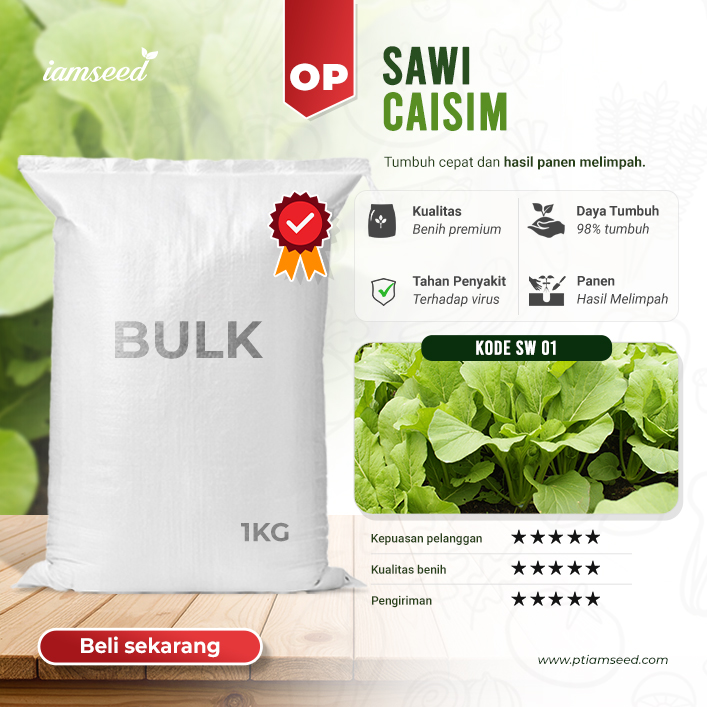 BULK 1kg – sawi mie OP (SW 01) - PT. Indoseed Agri Makmur