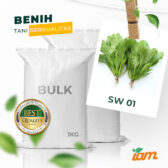 BULK 1kg – sawi mie OP (SW 01) - PT. Indoseed Agri Makmur