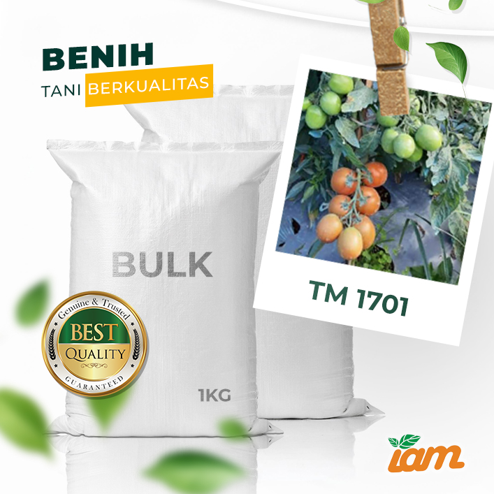 BULK 1kg – tomat F1 (TM 1701) - PT. Indoseed Agri Makmur