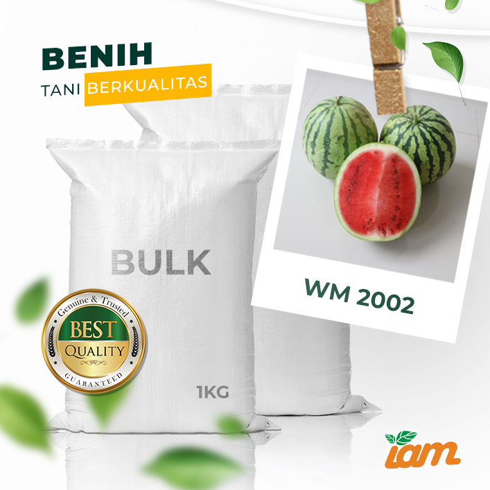 BULK 1kg – semangka F1 (WM 2002) - PT. Indoseed Agri Makmur