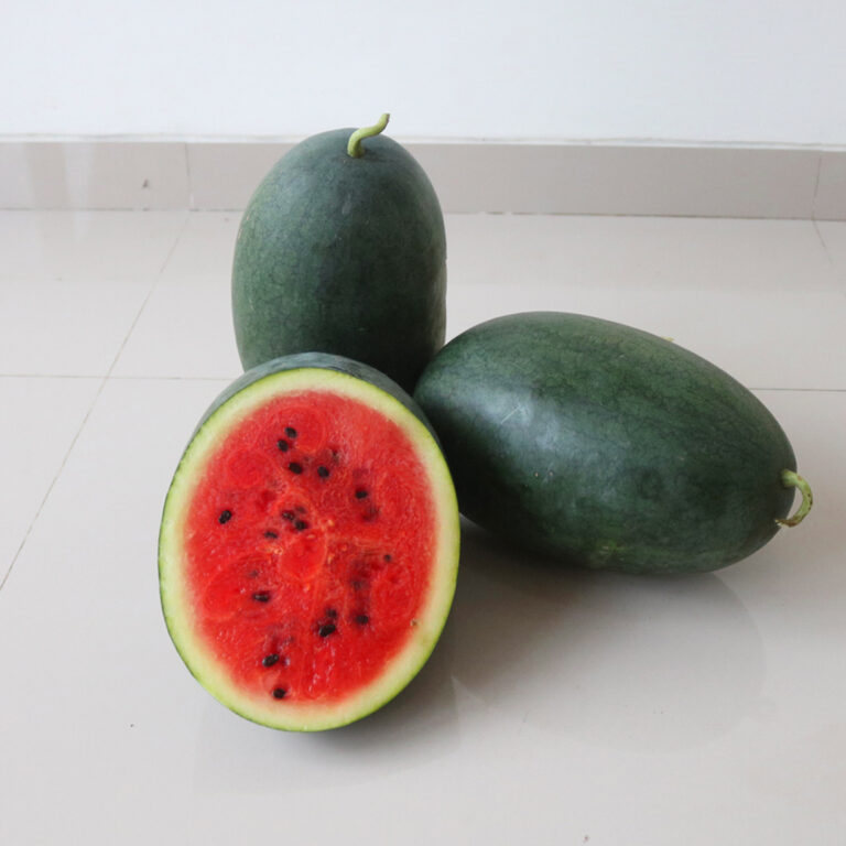 BULK 1kg – semangka F1 (WM 2004) - PT. Indoseed Agri Makmur
