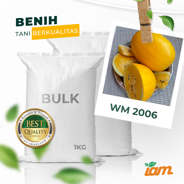 BULK 1kg – semangka F1 (WM 2006) - PT. Indoseed Agri Makmur