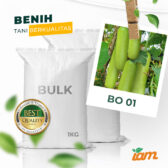 BULK 1kg – labu F1 (BO 01) - PT. Indoseed Agri Makmur