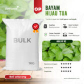 BULK 1kg – bayam hijau tua OP (BY 02) - PT. Indoseed Agri Makmur