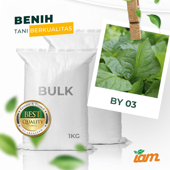 BULK 1kg – bayam hijau OP (BY 03) - PT. Indoseed Agri Makmur