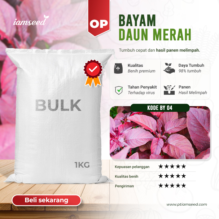 BULK 1kg – bayam merah OP (BY 04) - PT. Indoseed Agri Makmur