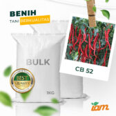 BULK 1kg – cabai kriting F1 (CB 52) - PT. Indoseed Agri Makmur
