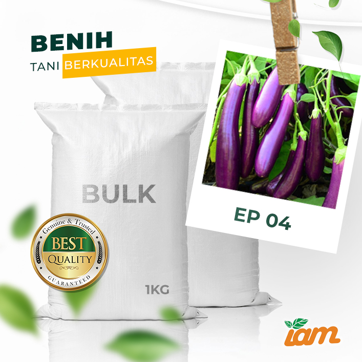BULK 1kg – terong ungu F1 (EP 04) - PT. Indoseed Agri Makmur