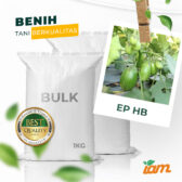 BULK 1kg – terong pondoh F1 (EP HB) - PT. Indoseed Agri Makmur