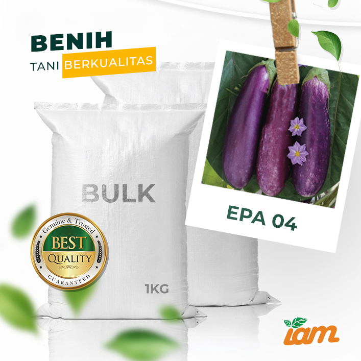 BULK 1kg – terong ungu F1 (EPA 04) - PT. Indoseed Agri Makmur