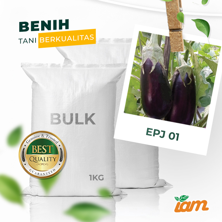 BULK 1kg – terong jepang F1 (EPJ 01) - PT. Indoseed Agri Makmur