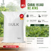 BULK 1kg – Cabai hijau F1 (FHP 01) - PT. Indoseed Agri Makmur