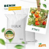 BULK 1kg – tomat l F1 (FTM 1) - PT. Indoseed Agri Makmur