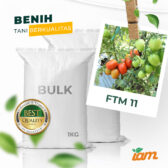 BULK 1kg – tomat l F1 (FTM 11) - PT. Indoseed Agri Makmur