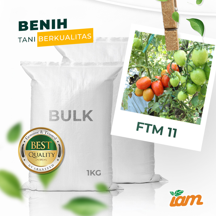 BULK 1kg – tomat l F1 (FTM 11) - PT. Indoseed Agri Makmur