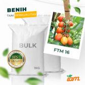BULK 1kg – tomat l F1 (FTM 16) - PT. Indoseed Agri Makmur