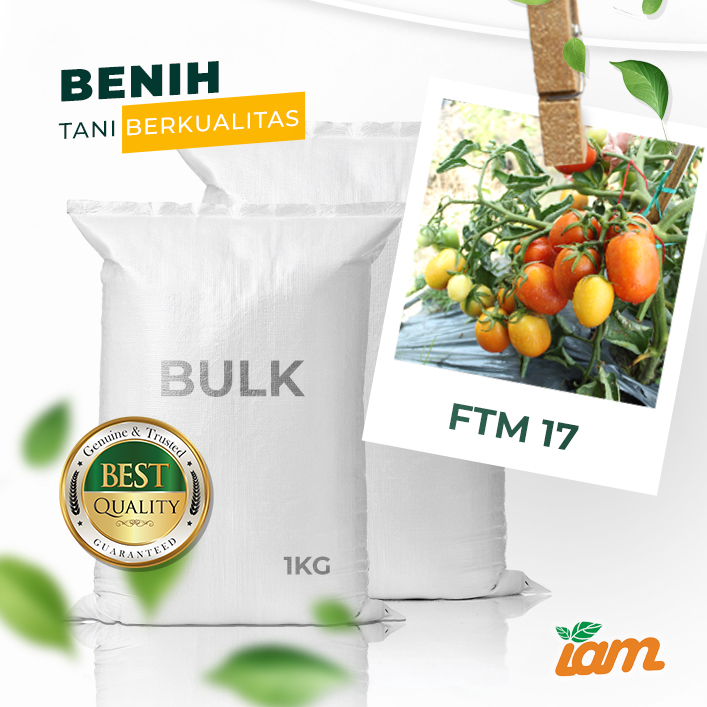BULK 1kg – tomat l F1 (FTM 17) - PT. Indoseed Agri Makmur