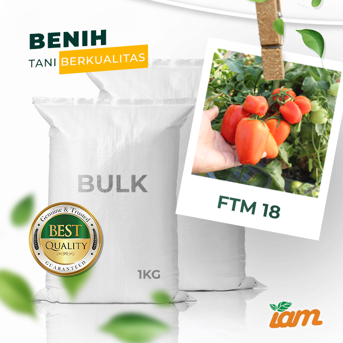 BULK 1kg – tomat l F1 (FTM 18) - PT. Indoseed Agri Makmur