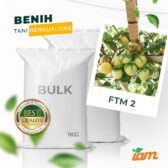 BULK 1kg – tomat l F1 (FTM 2) - PT. Indoseed Agri Makmur