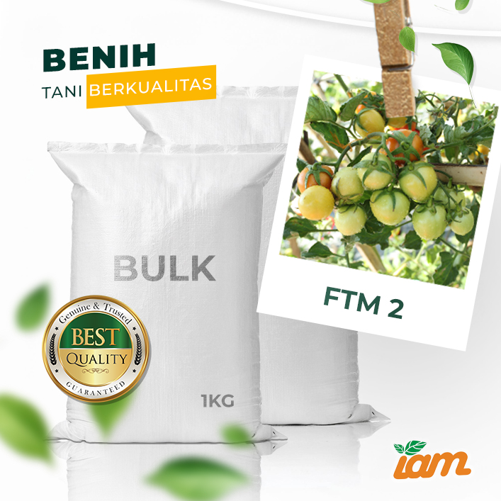 BULK 1kg – tomat l F1 (FTM 2) - PT. Indoseed Agri Makmur