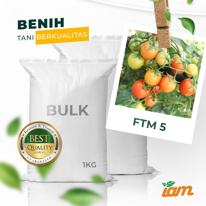 BULK 1kg – tomat l F1 (FTM 5) - PT. Indoseed Agri Makmur