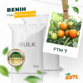 BULK 1kg – tomat l F1 (FTM 7) - PT. Indoseed Agri Makmur