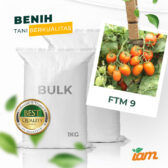 BULK 1kg – tomat l F1 (FTM 9) - PT. Indoseed Agri Makmur