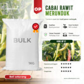 BULK 1kg – cabai OP (HP 61) - PT. Indoseed Agri Makmur