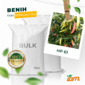 BULK 1kg – cabai OP (HP 61) - PT. Indoseed Agri Makmur