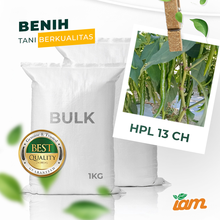 BULK 1kg – cabai besar F1 (HPL 13 CH) - PT. Indoseed Agri Makmur