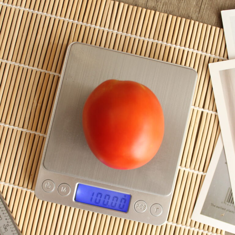 BULK 1kg – tomat l F1 (FTM 12) - PT. Indoseed Agri Makmur