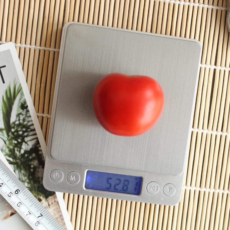 BULK 1kg – tomat l F1 (FTM 15) - PT. Indoseed Agri Makmur