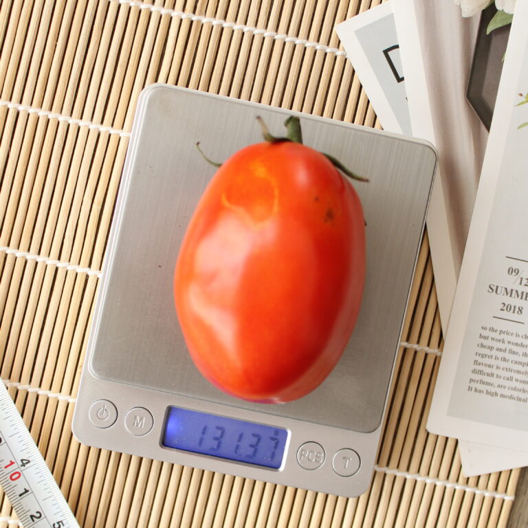BULK 1kg – tomat l F1 (FTM 17) - PT. Indoseed Agri Makmur
