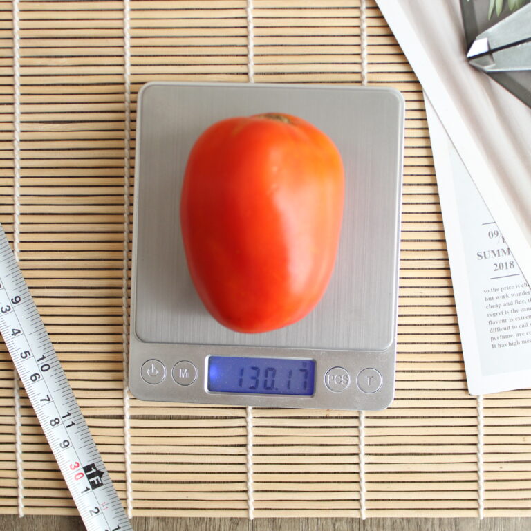 BULK 1kg – tomat l F1 (FTM 18) - PT. Indoseed Agri Makmur