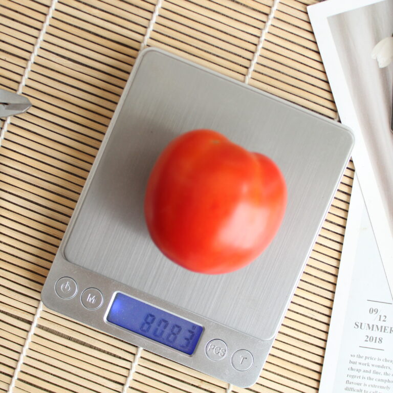 BULK 1kg – tomat l F1 (FTM 19) - PT. Indoseed Agri Makmur