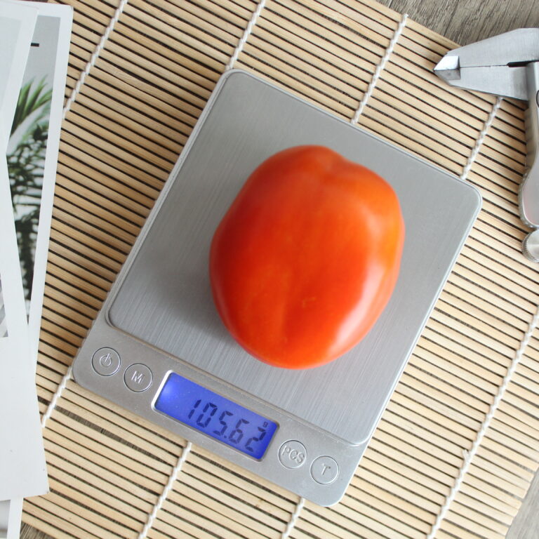 BULK 1kg – tomat l F1 (FTM 9) - PT. Indoseed Agri Makmur