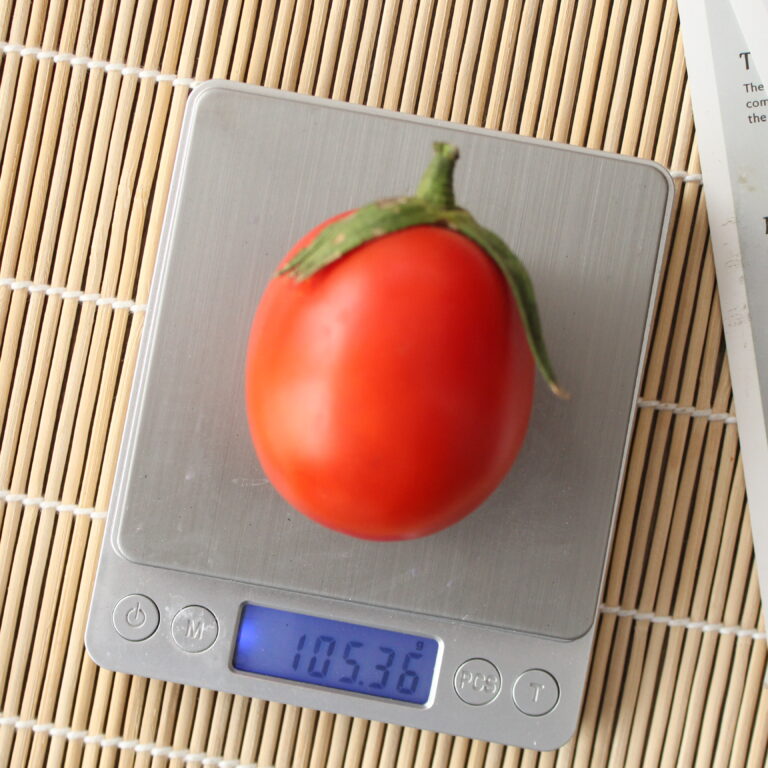 BULK 1kg – tomat l F1 (FTM 2) - PT. Indoseed Agri Makmur