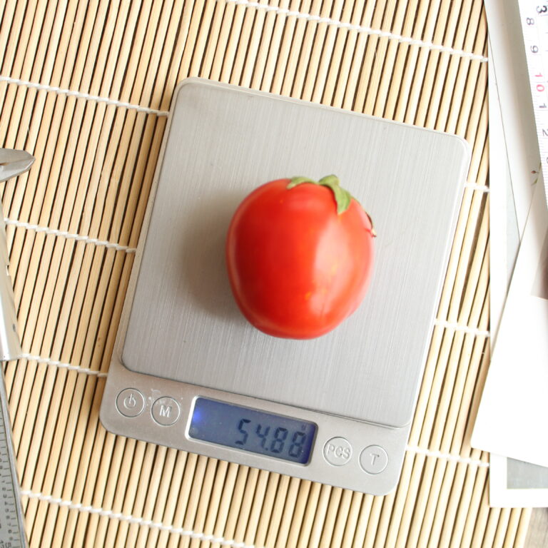 BULK 1kg – tomat l F1 (FTM 4) - PT. Indoseed Agri Makmur