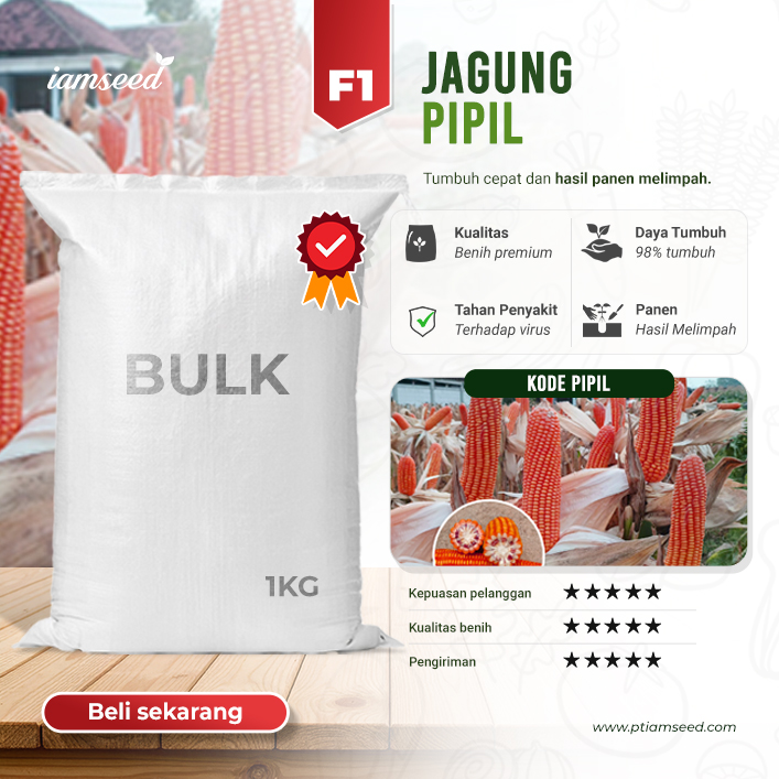 BULK 1kg – jagung pipil F1 (PIPIL) - PT. Indoseed Agri Makmur