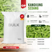 BULK 1kg – kangkung daun lebar OP (KKL 01) - PT. Indoseed Agri Makmur