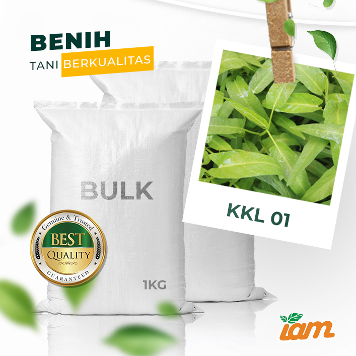 BULK 1kg – kangkung daun lebar OP (KKL 01) - PT. Indoseed Agri Makmur