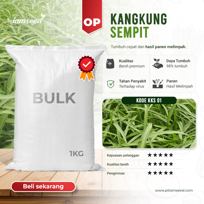 BULK 1kg – kangkung daun sempit OP (KKS 01) - PT. Indoseed Agri Makmur