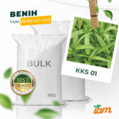 BULK 1kg – kangkung daun sempit OP (KKS 01) - PT. Indoseed Agri Makmur